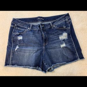 Maurice’s Brand Jeans Shorts